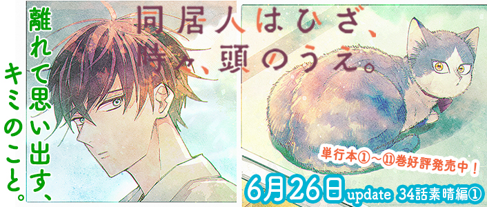 同居人はひざ、時々、頭のうえ。